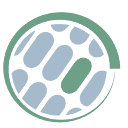SenseUP logo