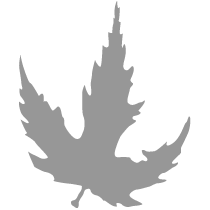 Silver Investment Partners logo