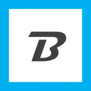 BOSETEIN logo