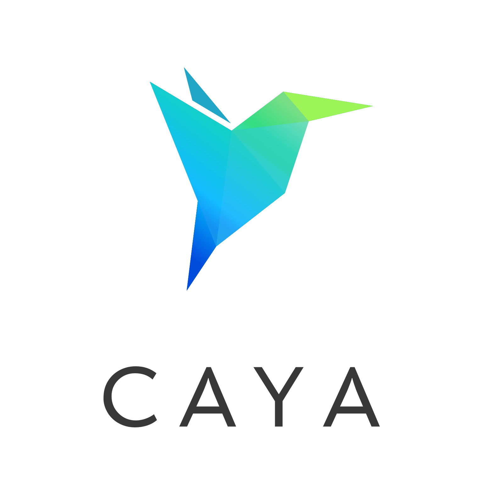 CAYA logo