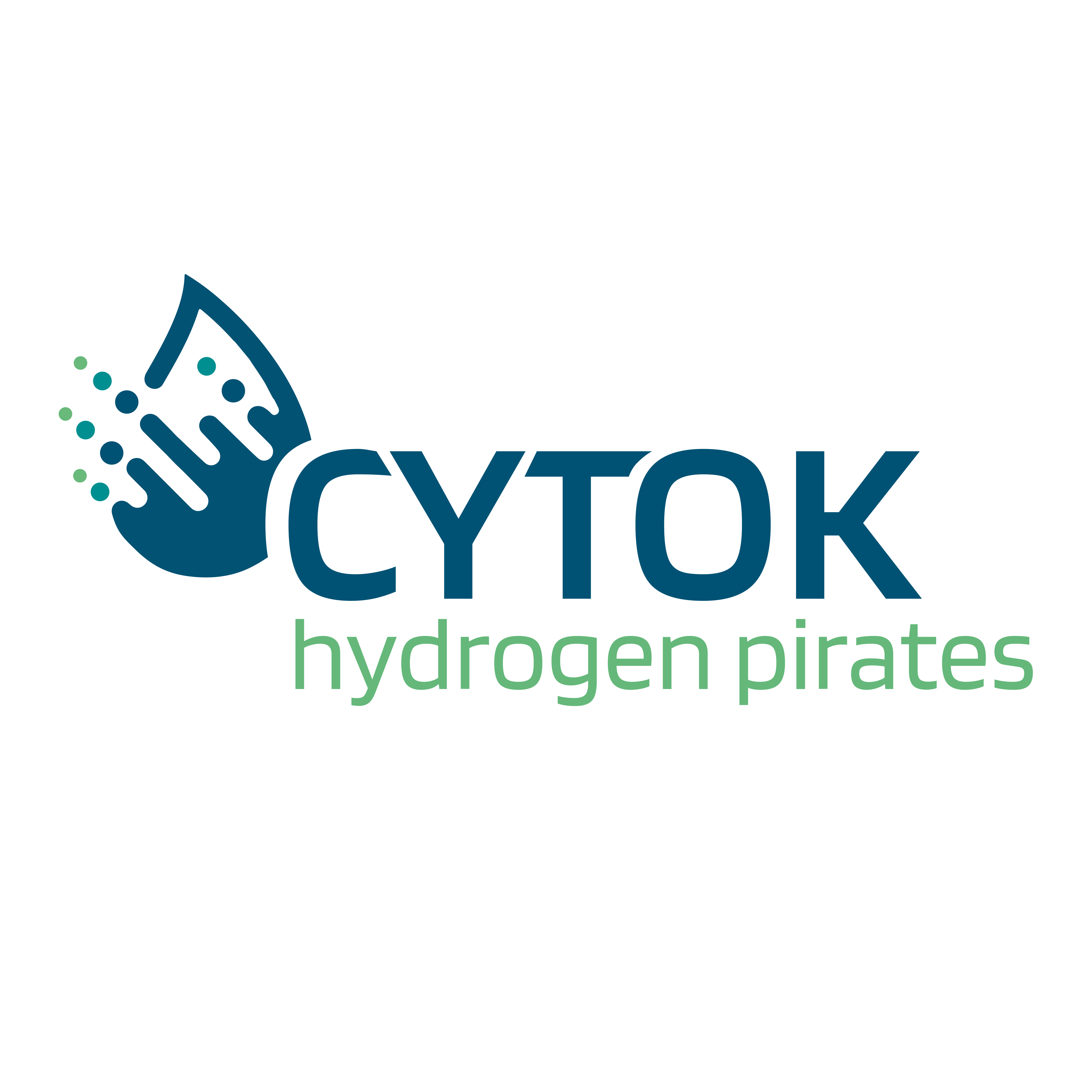 CYTOK - hydrogen pirates logo