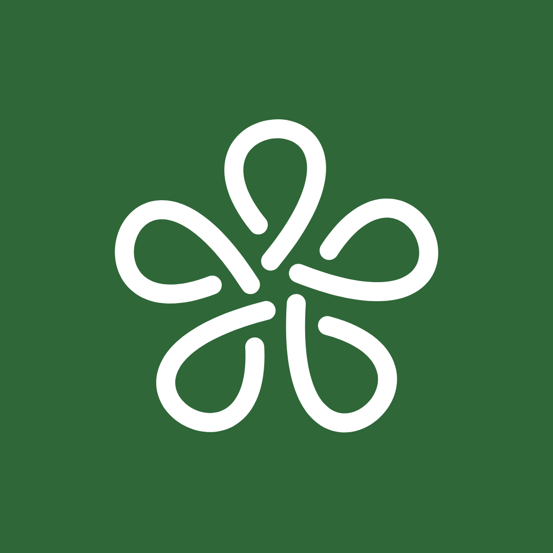 High5 logo