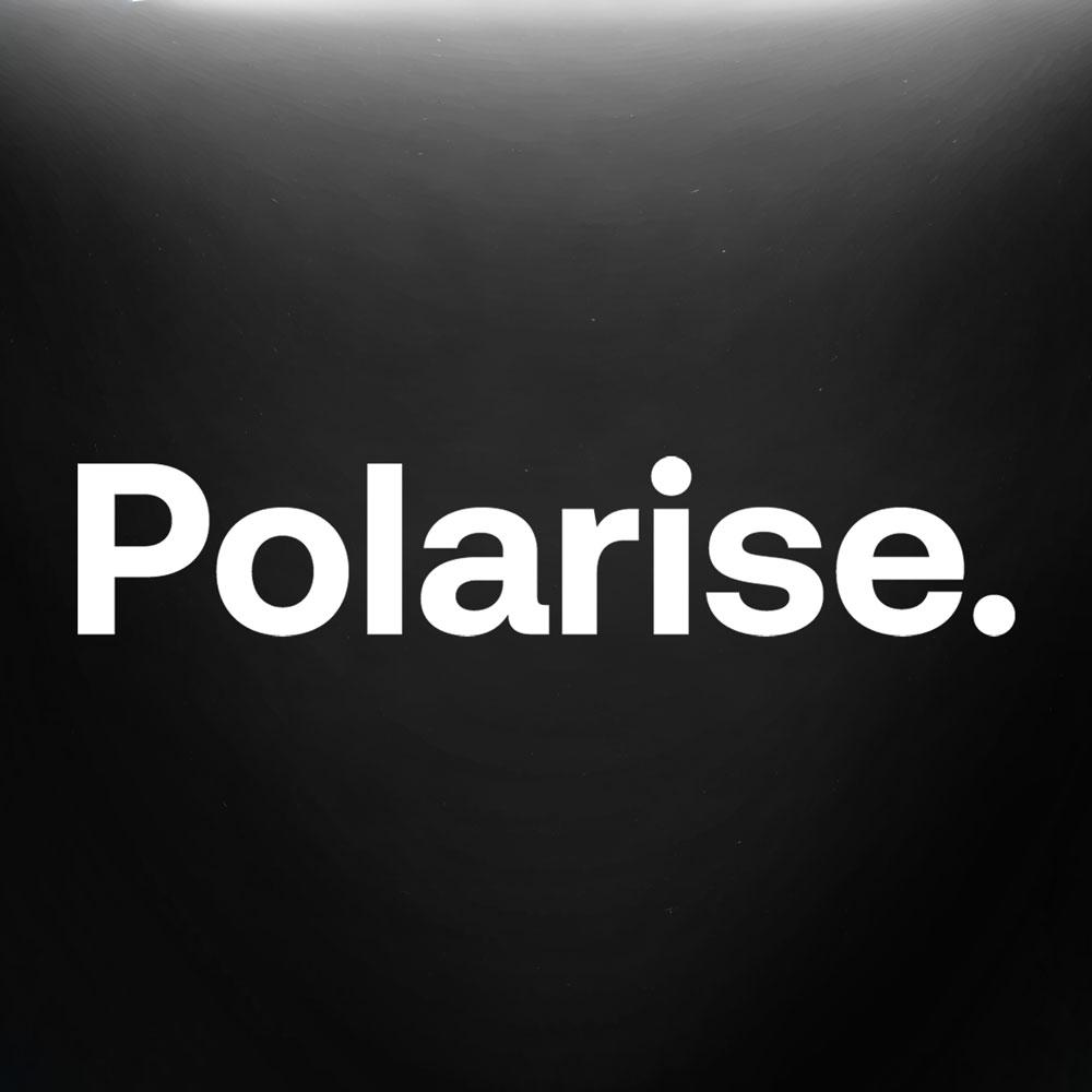 Polarise logo