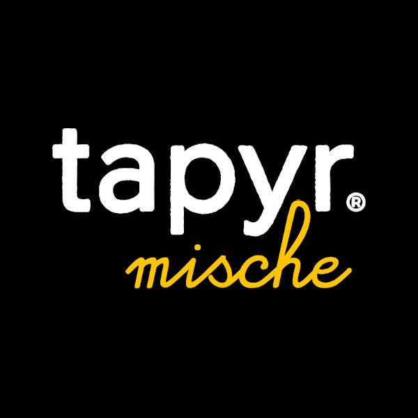 tapyr.mische logo