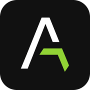 ACE Alternatives logo