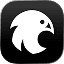 Birdsview logo
