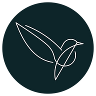 Brainstork logo