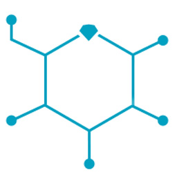 DiaMonTech logo