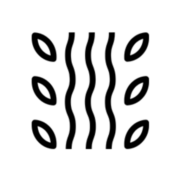 Lite&Fog logo