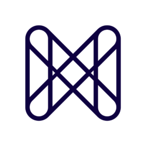 Modelwise logo