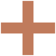 PV2+ logo