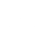 The NISAR Autonomy GmbH logo