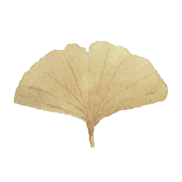 UNE FOODS logo