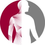 Virtonomy logo