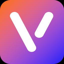 VisaFlow logo