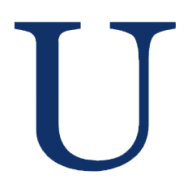 Ufenau Capital Partners logo